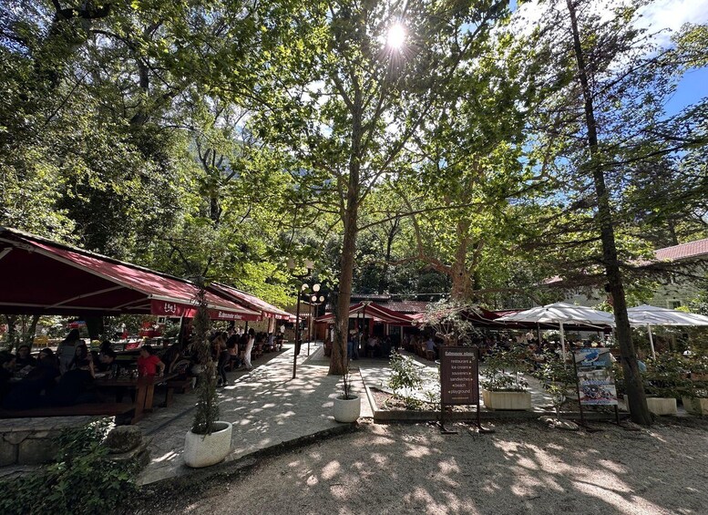 A sunny outdoor market with red-roofed stalls and potted plants. 5