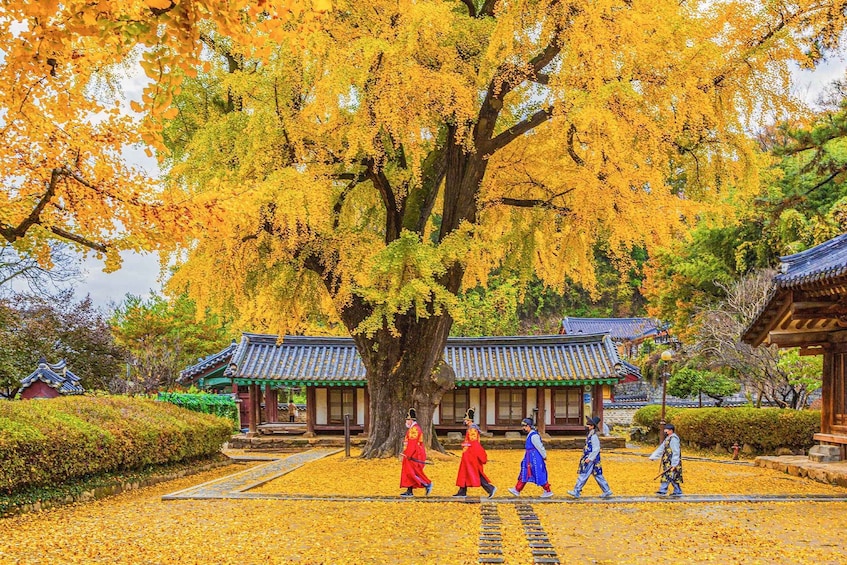 From Seoul: Jeonju Hanok Village Full-Day Tour 1