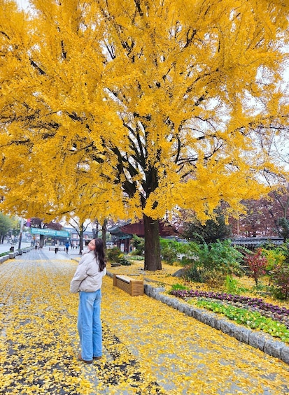 Picture 14 for Activity From Seoul: Jeonju Hanok Village Full-Day Tour 4