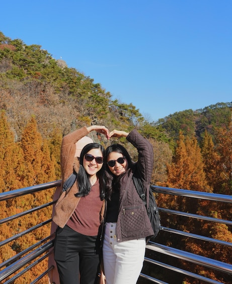 Picture 17 for Activity From Seoul: Jeonju Hanok Village Full-Day Tour 3