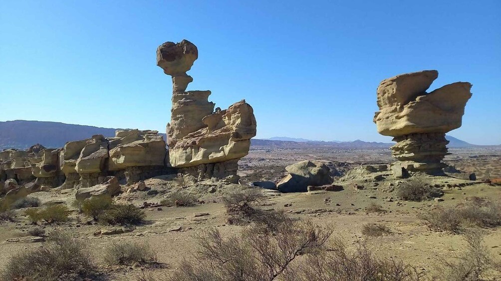 Picture 1 for Activity San Juan: Ischigualasto Park Valley of the Moon Tour 2