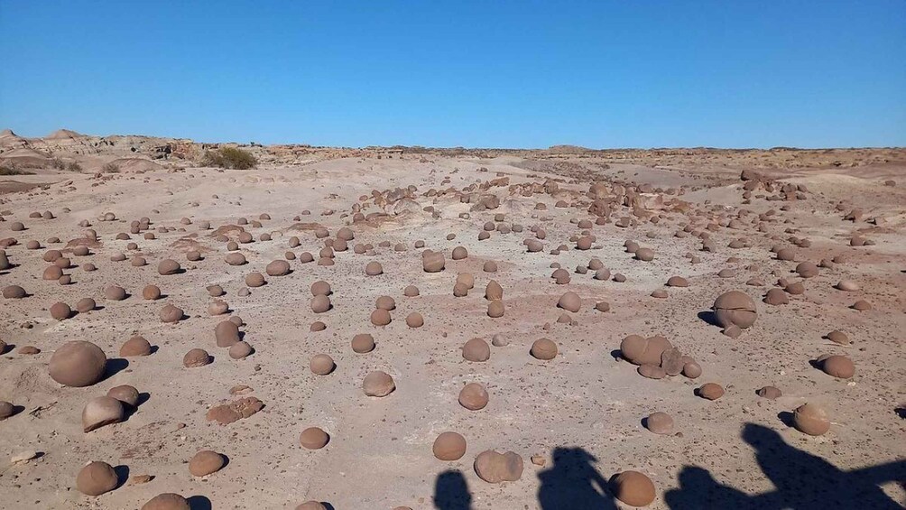 San Juan: Ischigualasto Park Valley of the Moon Tour 1