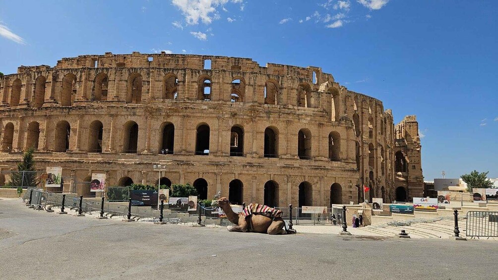 Picture 2 for Activity From Tunis: Daytrip 3 UNESCO sites Kairouan El Jem & Sousse 2
