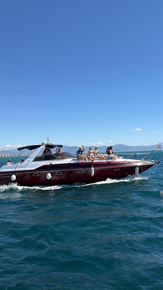 Picture 2 for Activity Benalmádena: Private Speedboat Ride and Dolphin Watching 5