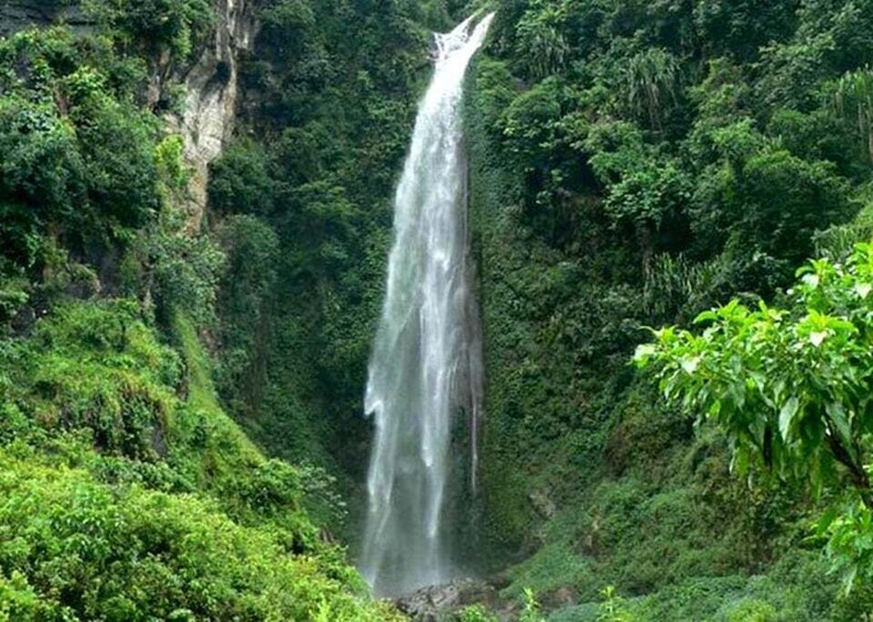 A tall waterfall surrounded by lush greenery. 5