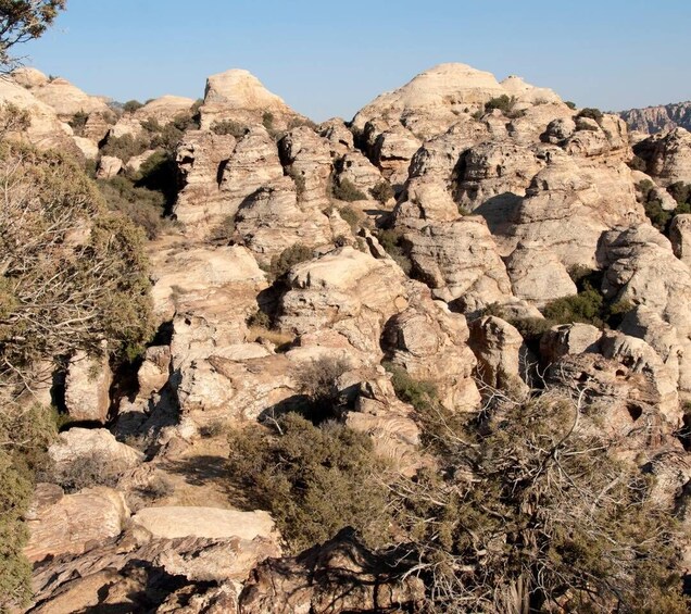 From Aqaba: Dana Nature Reserve Private Day Trip with Lunch 1