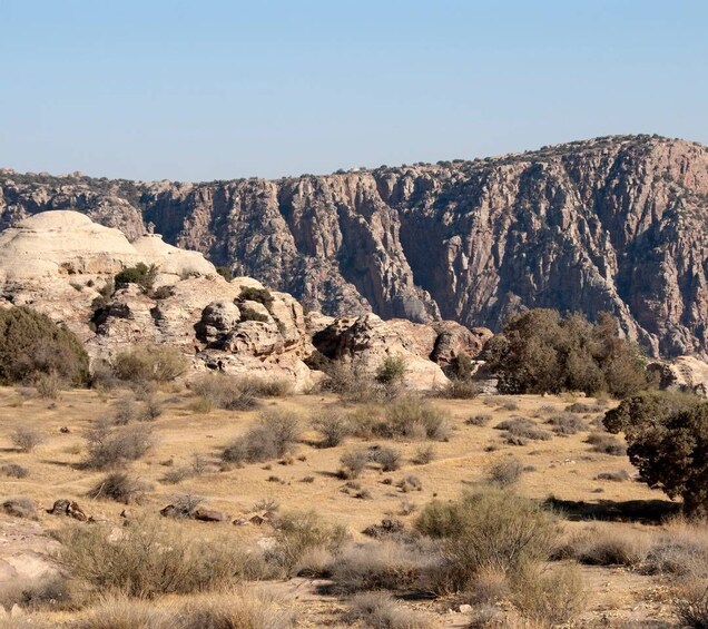Picture 3 for Activity From Aqaba: Dana Nature Reserve Private Day Trip with Lunch 2