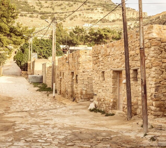 Picture 7 for Activity From Aqaba: Dana Nature Reserve Private Day Trip with Lunch 5