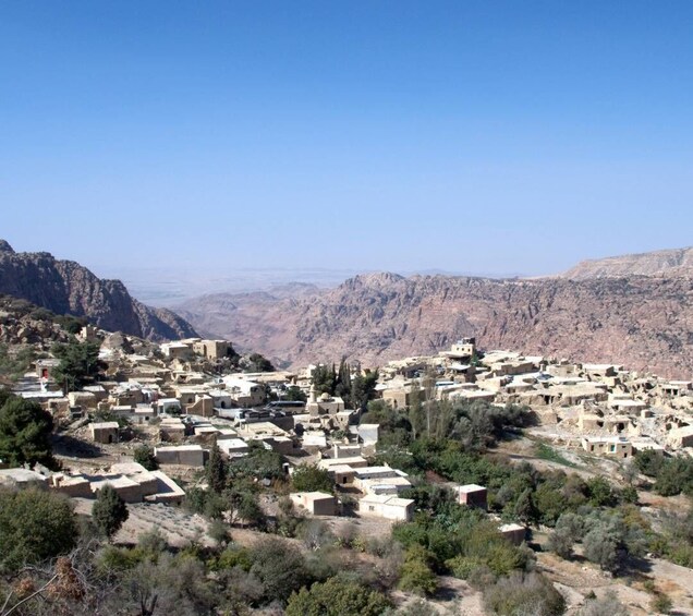Picture 14 for Activity From Aqaba: Dana Nature Reserve Private Day Trip with Lunch 4