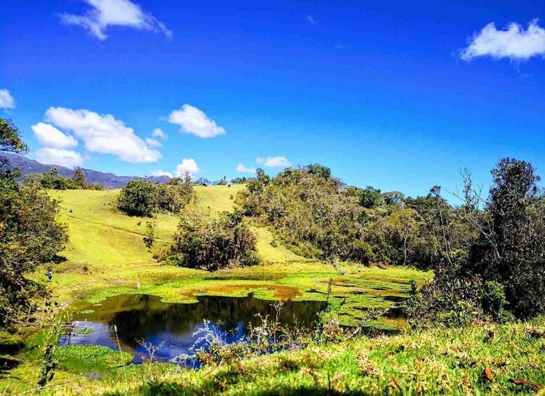A lush green landscape with a pond surrounded by trees and hills. 2