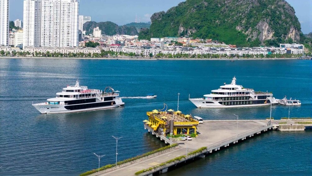 Picture 16 for Activity Luxury Ha Long Bay Day Cruise with Buffet, Party & Cave Tour 2
