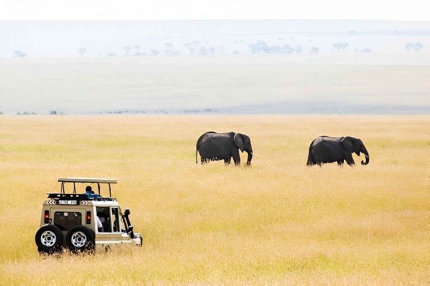 A safari vehicle in a grassy field with two elephants in the distance. 3