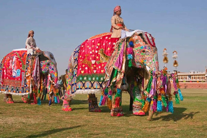 Picture 10 for Activity From Delhi: Same Day Guided Jaipur Tour with 5 Star Lunch 5