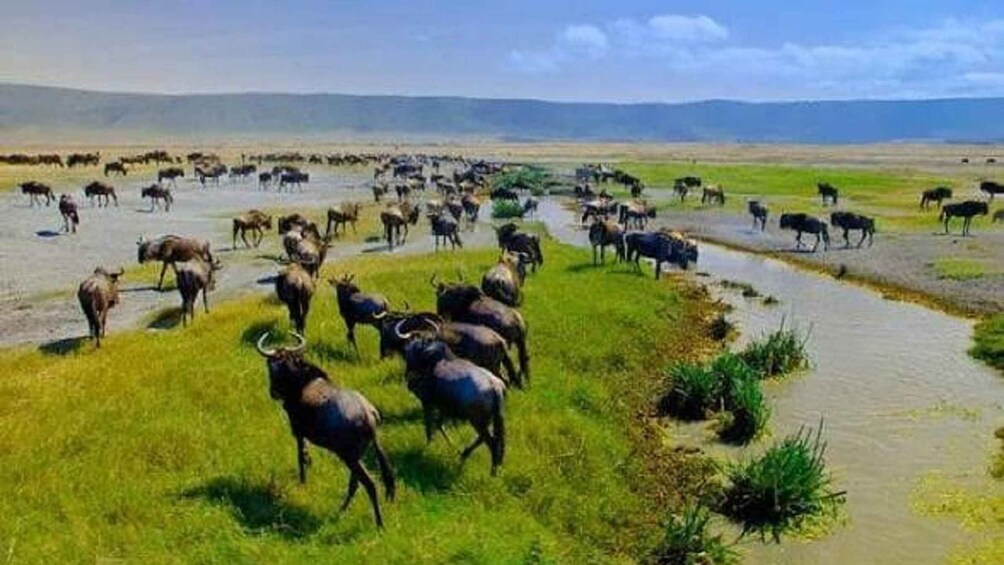 Tanzania: 7-Day Cultural and Nature Discovery Tour 1