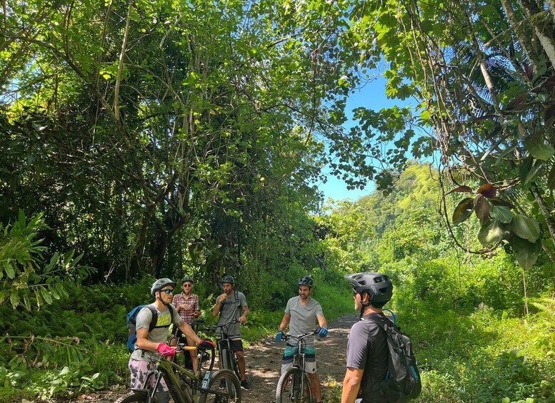A group of cyclists on a forest trail surrounded by dense foliage. 1