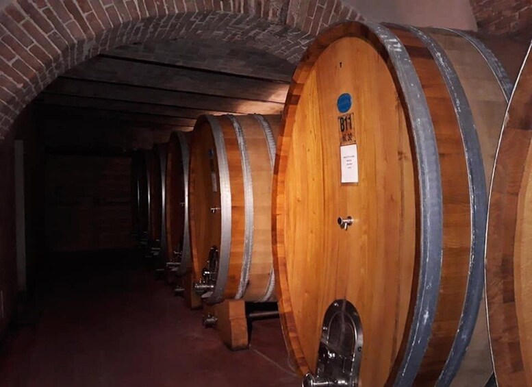 A row of wooden wine barrels with metal hoops, arranged in a dimly lit cellar with brick arches. 5