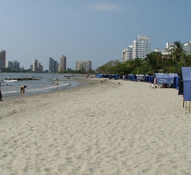 A sandy beach with a few people and a dog, a calm sea, and a cityscape with tall buildings in the background. 3