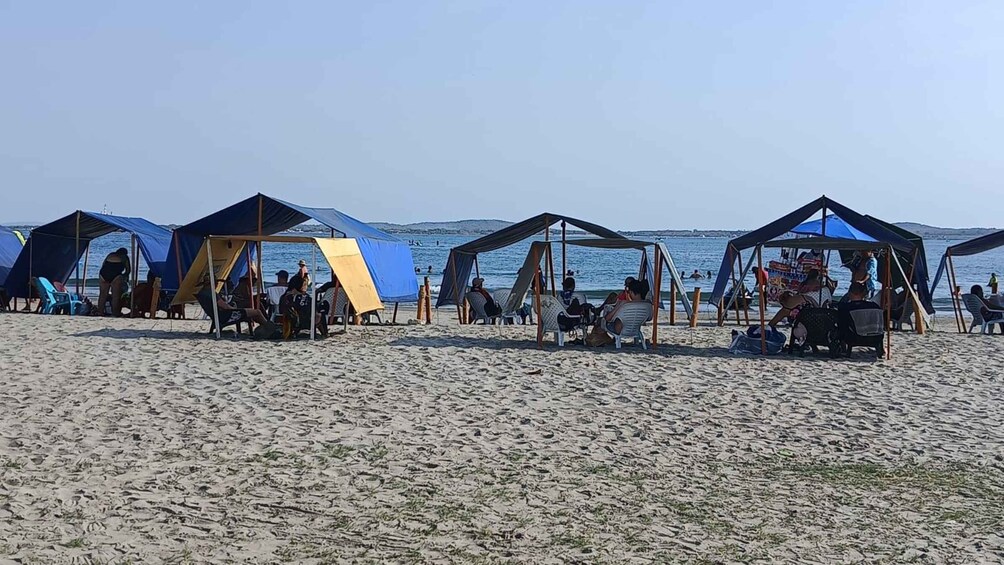 A beach with multiple shaded areas and people relaxing. 1