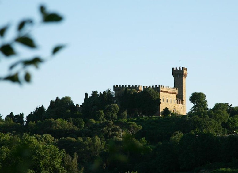 Picture 2 for Activity Florence Golf Cart Tour of the Hills and Piazzale Michelangelo 4
