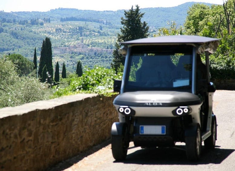 Picture 23 for Activity Florence Golf Cart Tour of the Hills and Piazzale Michelangelo 5