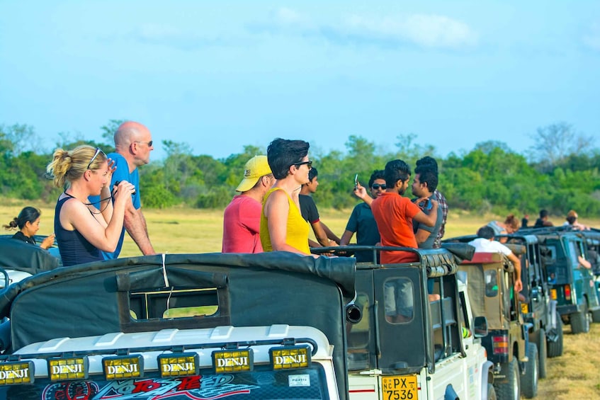 A line of jeeps parked in a field with people standing and walking around. 4