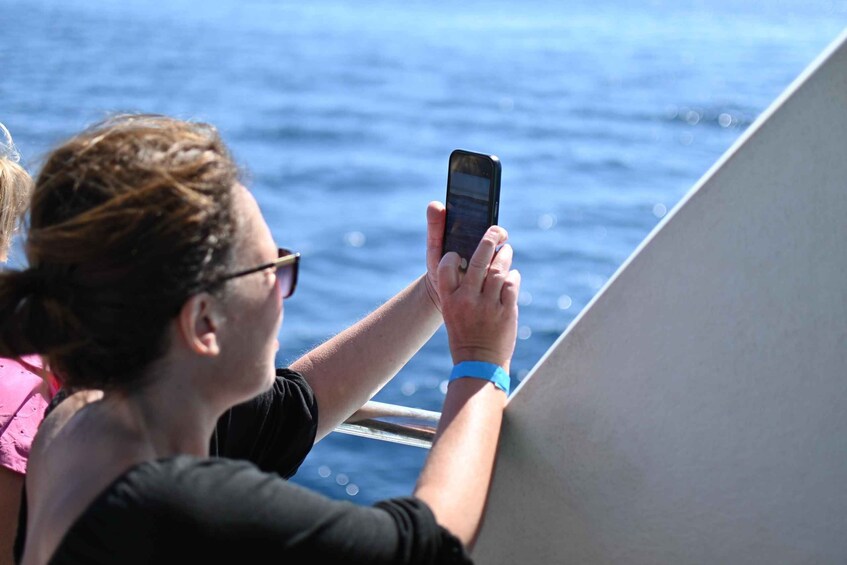 A person holding a smartphone, looking at the ocean. 2