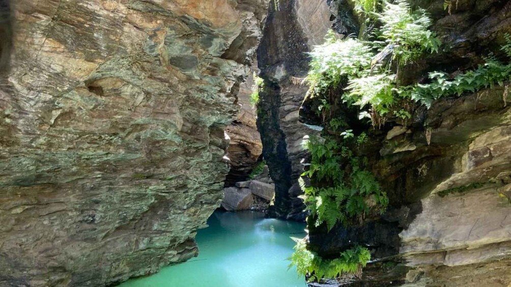 A narrow canyon with a turquoise pool surrounded by rocky cliffs and lush greenery. 3
