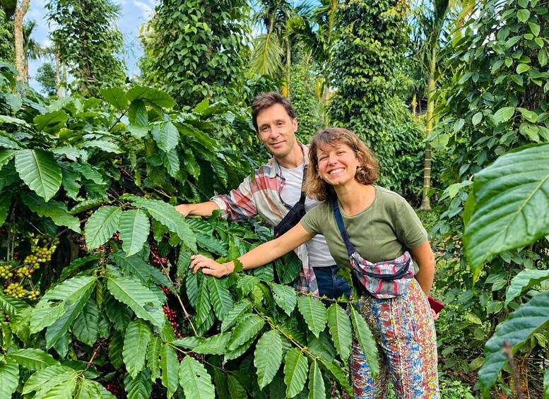 Two people examining coffee plants in a lush, green environment. 1
