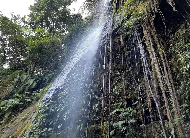 A waterfall cascading down a rocky cliff surrounded by dense forest. 5
