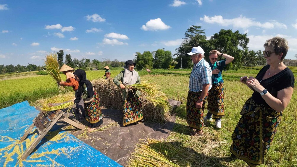 People harvesting crops in a field. 3