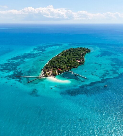 Picture 1 for Activity Zanzibar: Prison Island Private Experience 2