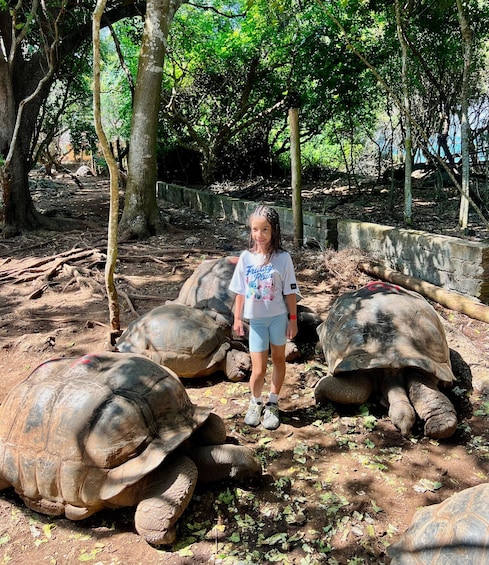 Picture 1 for Activity Zanzibar: Private Prison Island & Giant Tortoise Tour 4