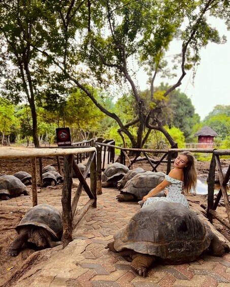 Picture 7 for Activity Zanzibar: Prison Island Private Experience 3