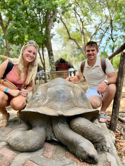 A large tortoise on a paved path with people crouching beside it. 1