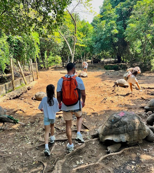 Picture 5 for Activity Zanzibar: Private Prison Island & Giant Tortoise Tour 5