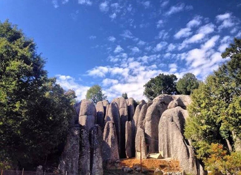 A natural rock formation with trees around. 5