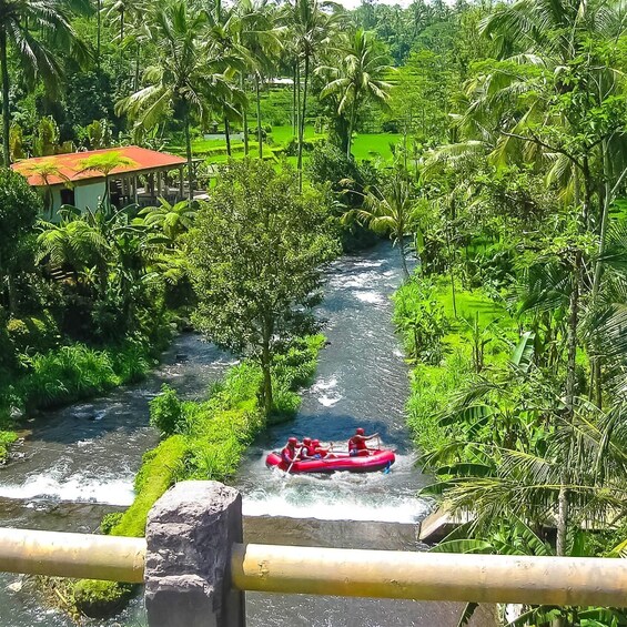 Un río con una balsa roja navegando a través de un paisaje verde y exuberante con palmeras y un edificio pequeño al fondo. 3