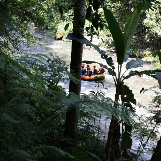 Un grupo de personas navegando en balsas por un río rodeado de un bosque denso. 2