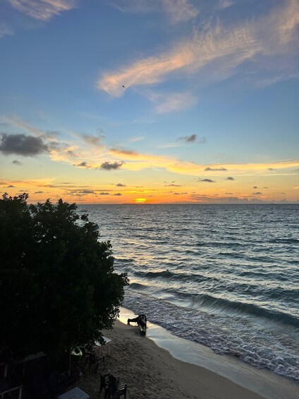 A beach at sunset with waves, a tree, and a distant bird. 4