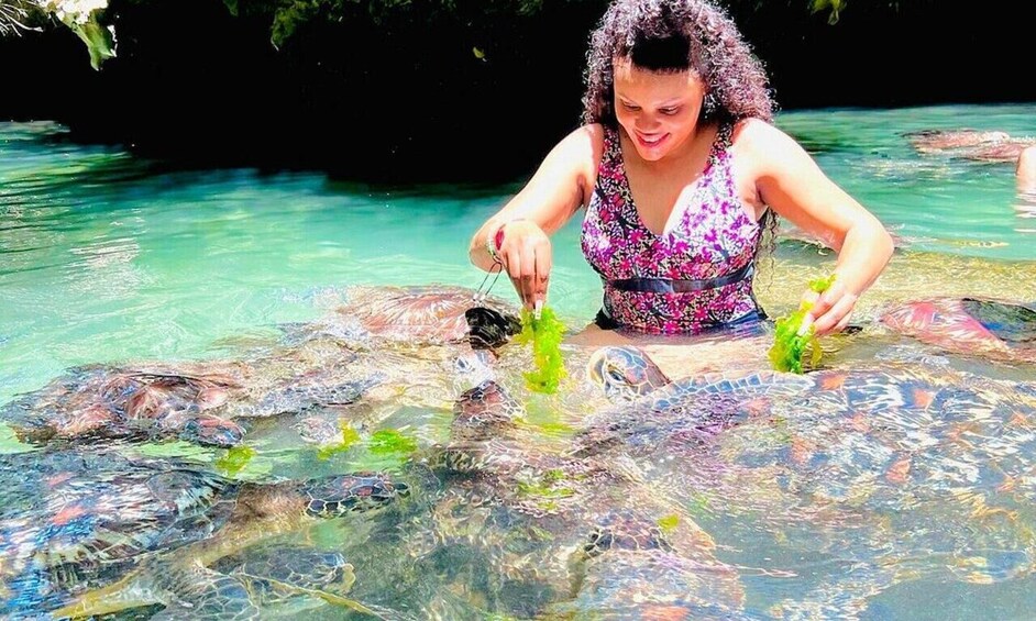 Picture 3 for Activity Mnemba dolphin and Swim With Turtle in Nungwi 5