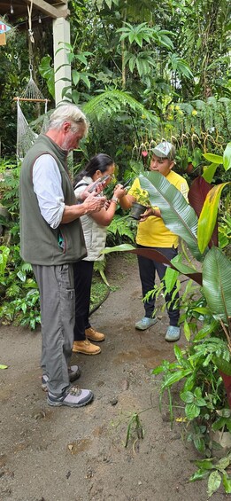 Three people in a garden, one holding a plant. 3