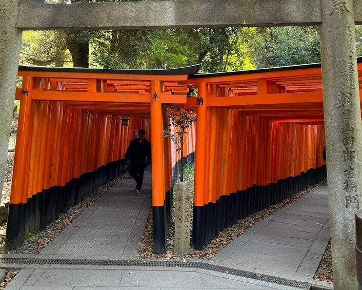 Picture 5 for Activity Kyoto: E-Bike Tour of Hidden Gems and Temples South Route 3