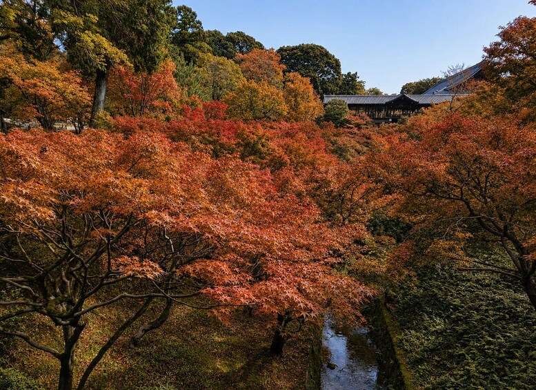 Picture 2 for Activity Kyoto: Fushimi Inari E-Bike Tour – Hidden Gems & Temples 2