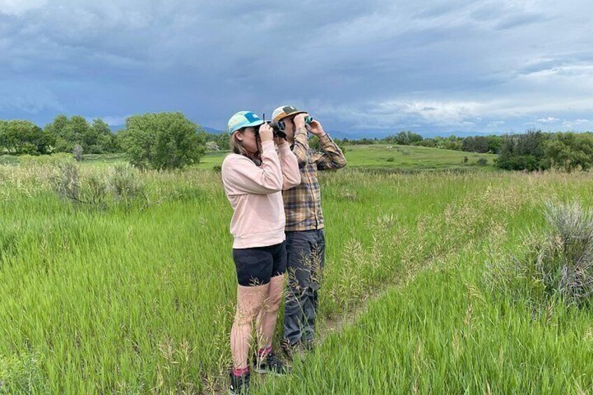 Private Nature Tour for Couples 4