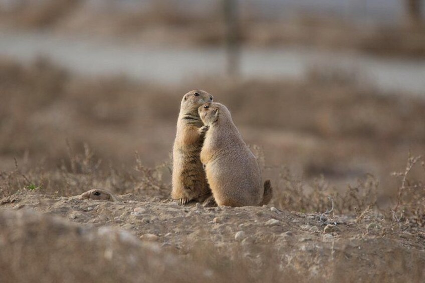 Private Nature Tour for Couples 2