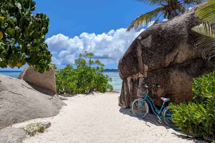 A turquoise bicycle parked on a sandy beach with large rocks and greenery. 4