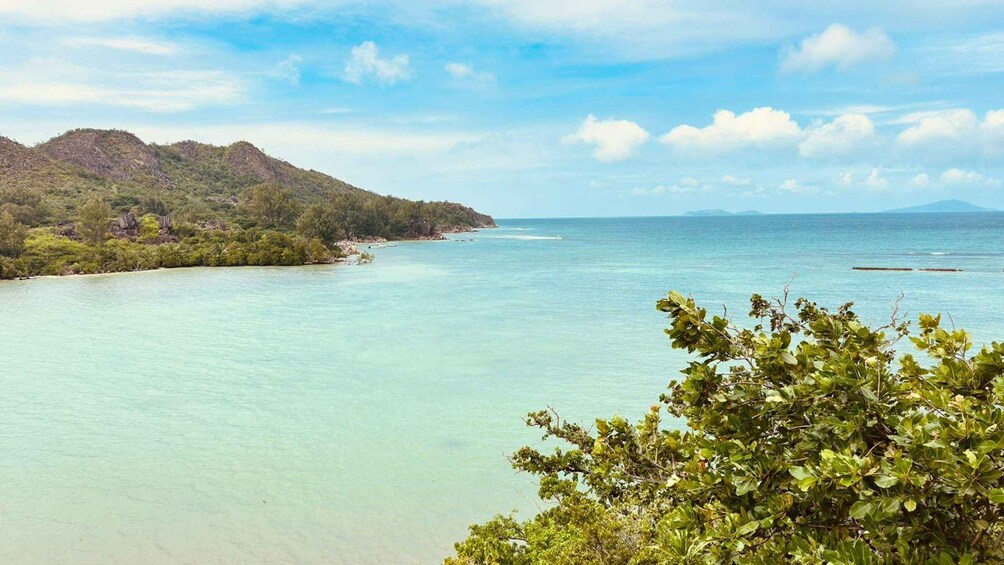 A coastal landscape with clear turquoise waters, a sandy beach, and lush green vegetation. 2