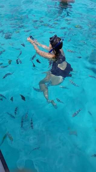 Una persona fa snorkeling in acque cristalline, circondata da diversi pesci. 4