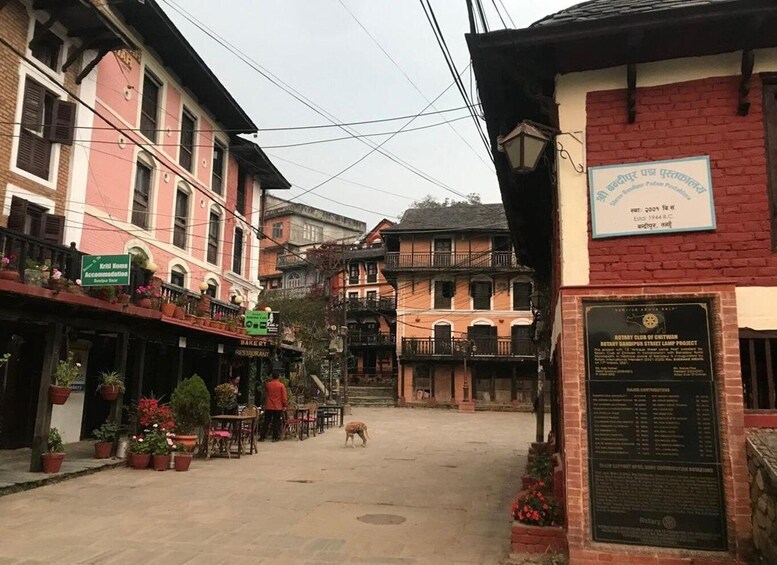A street with buildings, a signboard, and a dog. 5