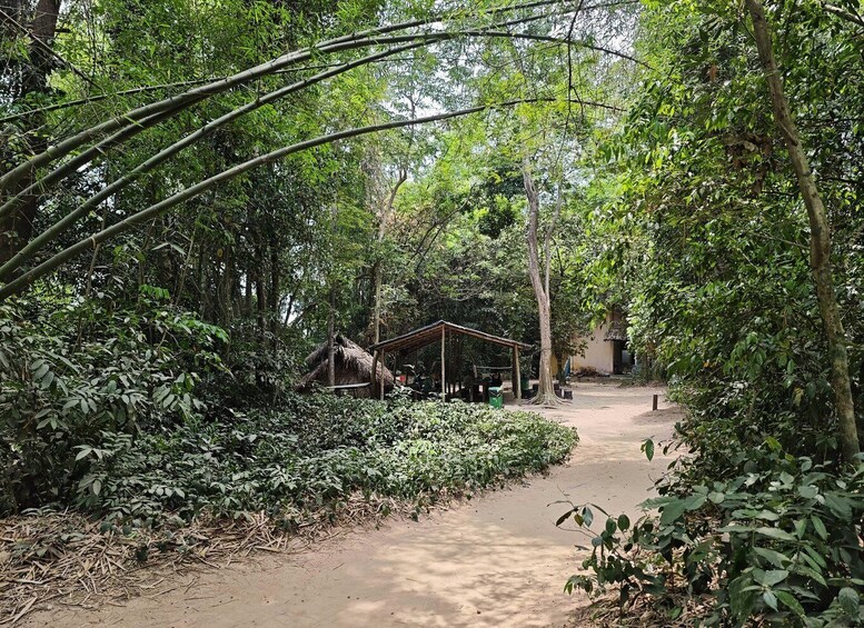 Picture 25 for Activity HCM City: Cu Chi Ben Duoc Tunnels: Less Crowded Small Group 2